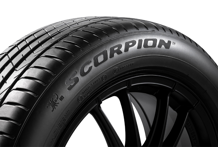 Scorpion Scorpion